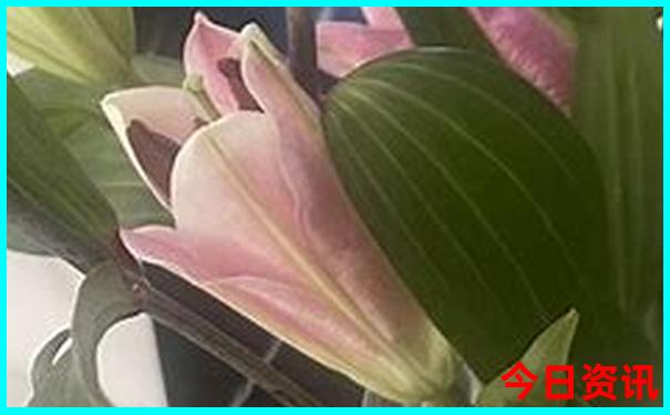 河南十大必去景点游玩攻略